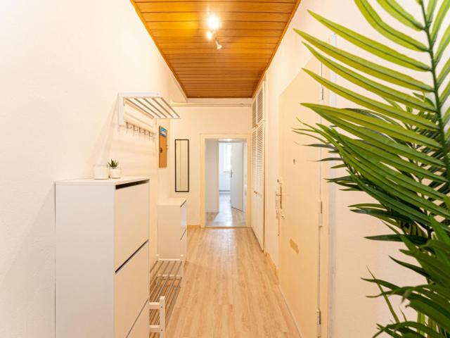 Luminous single bedroom in Lankwitz