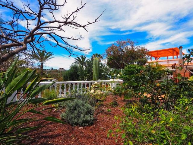 Luminosa casa de una planta con un amplio jardín, ahora en v. 177m² Los Pinos