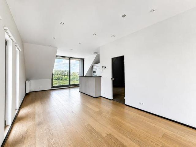 Lumineux appartement 1 chambre avec terrasse et parking
