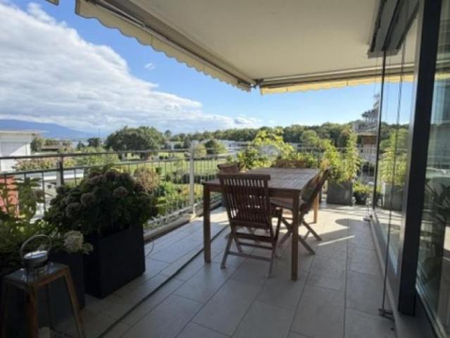 Lumineux appartement vue lac