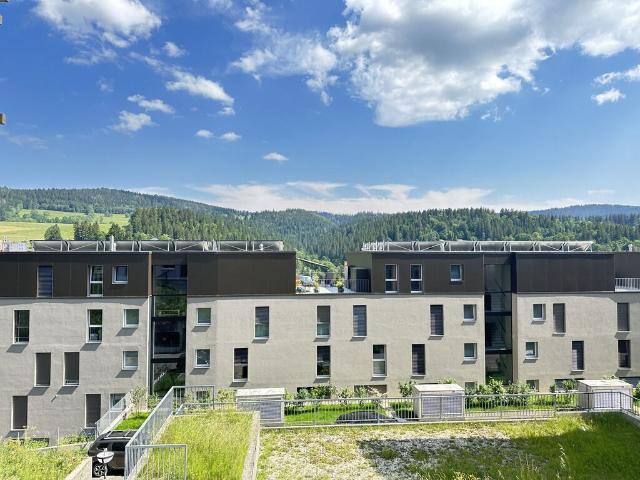 Apartment with 3.5 rooms for rent in Le Locle Ref 1304.01.0103 | dreamo. Ch