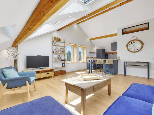 Lumineux logement 1 chambre 56 m2 Tassin proche Ecully