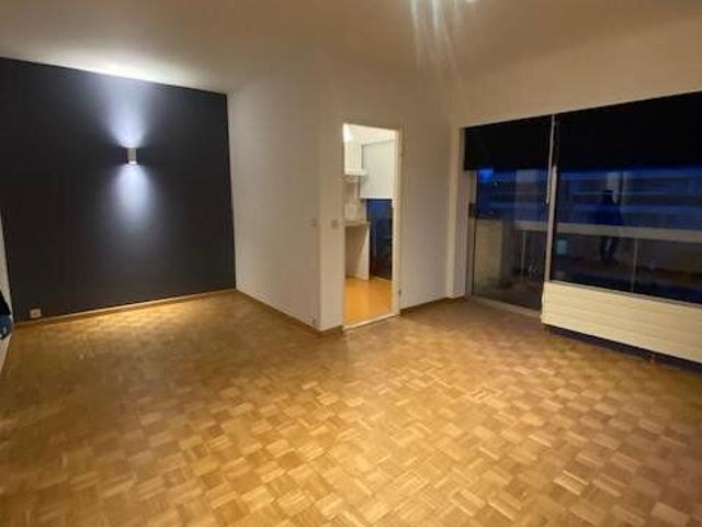 Lumineux studio 35m² rénové + Terrasse 6m² + Cave 750€+90€