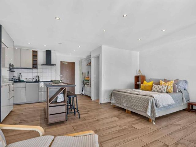Lumineux studio meublé avec magnifique vue sur le lac