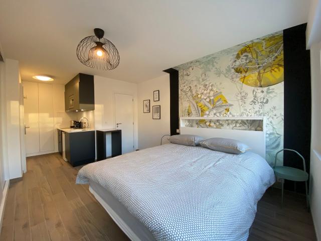 Lumineux studio meublé à deux pas de la gare