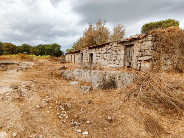 lund à venda nas cabanas do Viriato Portugal