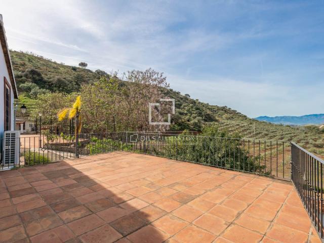 Espectacular casa de campo con un campo de olivos y más de 2. 1273m² Balcón de malaga
