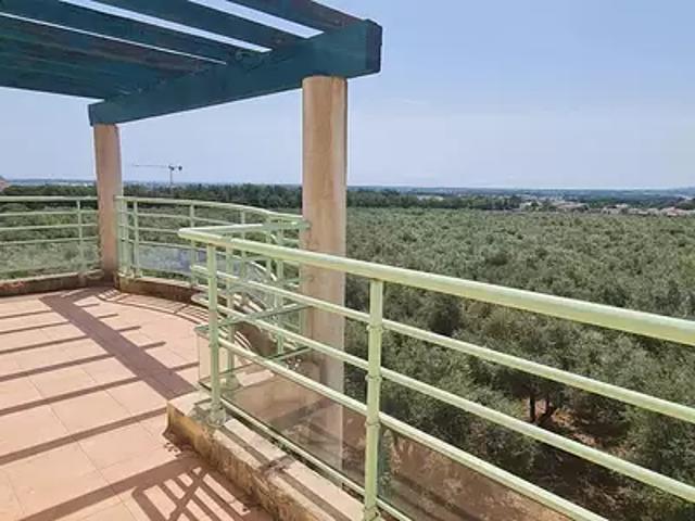 Lucciana 20290 Location appartement 3 pièces t3