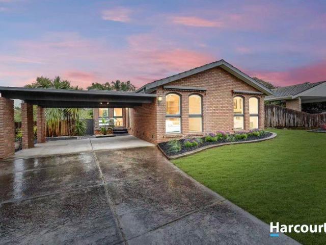 Lucky Number 8 Light Filled Family Living on 835sqm