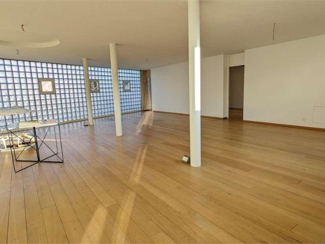 Lugano, luminoso 3,5 con giardino condominiale