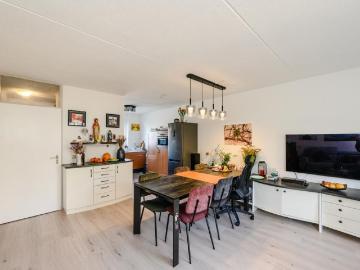 Olland, Meierijstad, Noord-Brabant - Tuin