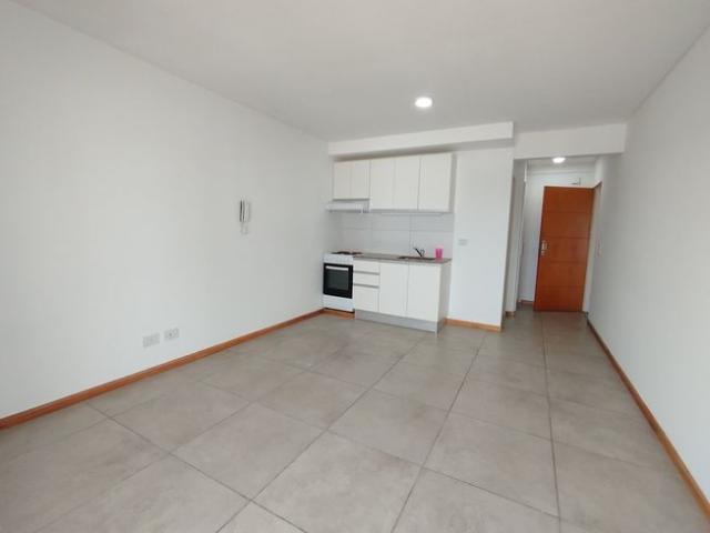 Luis Agote, Rosario, Santa Fe