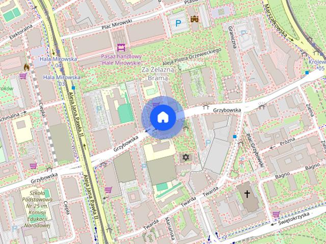 Luksusowy apartament,Grzybowska 37