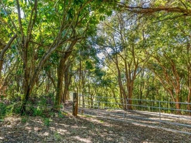 Lush Acreage Offering Privacy & Creek Access