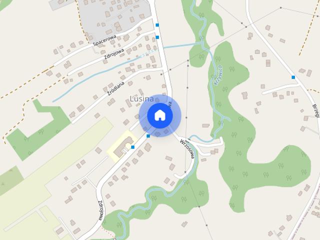 Lusina, Krakowska, dom, do wynajęcia