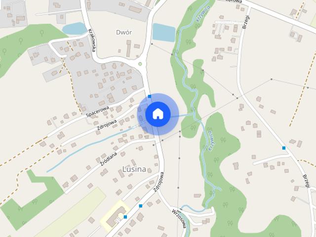 Lusina International School luksus dom otoczony zielenią KLIMATYZACJA