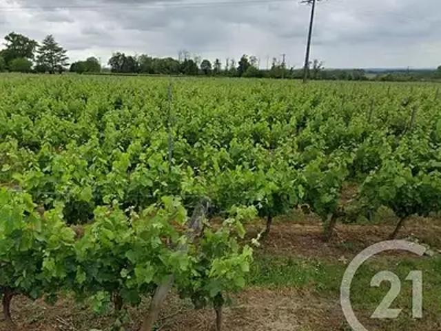 Lussac 33570 Achat / Vente maison 2 pièces t2