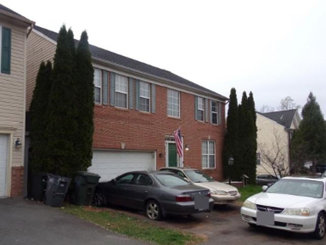 Lutz Ct