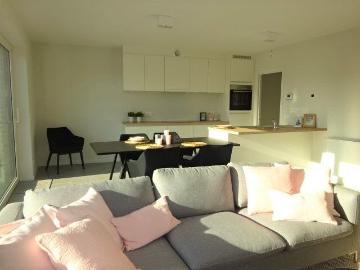 8880, Roeselare, Roulers, Flandre-Occidentale, Flandre