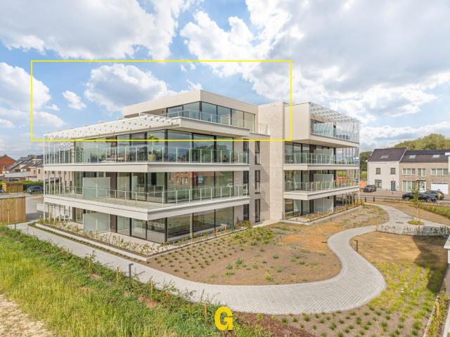 Luxueus energiezuinig penthouse appartement met ruim zonneterras met prachtig verzicht op het stadscentrum en achterliggend groen