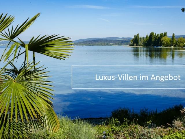 Luxus Villen im Angebot