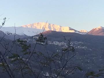 Al Guasto, Collina d'Oro, Gemeinde Carona, Bezirk Lugano, Tessin