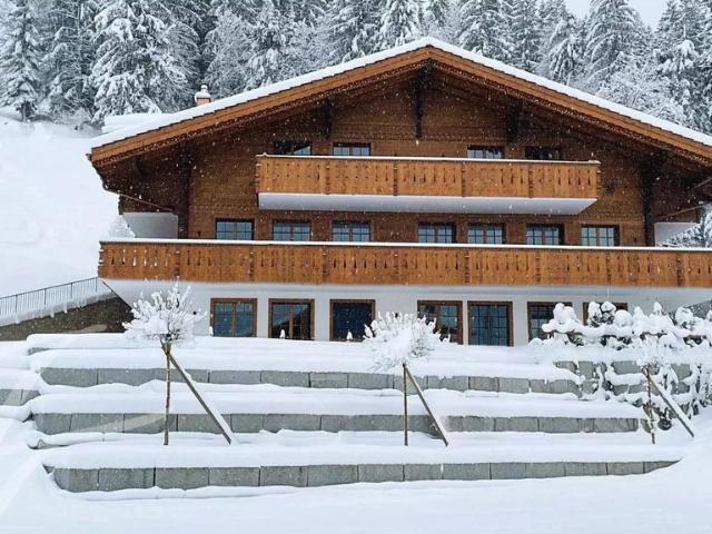 Luxus Apartment zu vermieten in Saanen, Bern