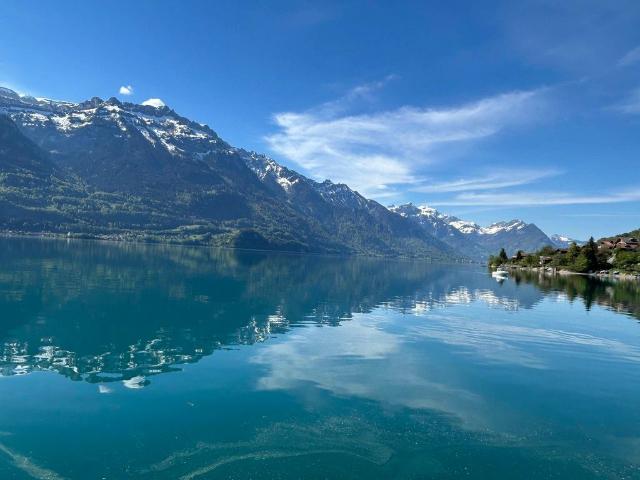Luxus Apartment mit 3 Zimmer zu verkaufen in Panoramastrasse, Interlaken, Interlaken Oberhasli District, Kanton Bern