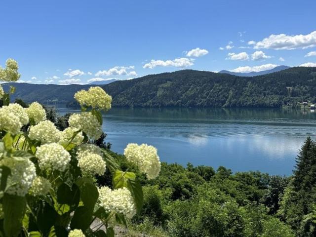 Luxus Apartment mit 4 Zimmer zu verkaufen in Millstatt, Kärnten