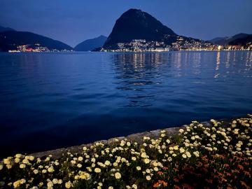 Cassarate, Lugano, Bezirk Lugano, Tessin