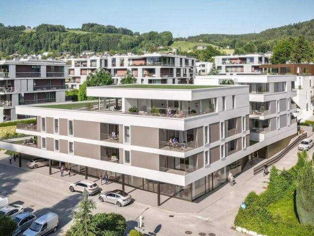 Luxus Apartment mit 66 m2 zu verkaufen Altmünster, Österreich