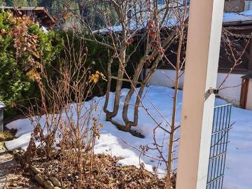 House for sale in 6365 - Garten, Keller