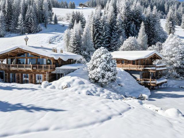 Luxus Haus mit 5 Schlafzimmer zu verkaufen in Sankt Johann in Tirol, Österreich