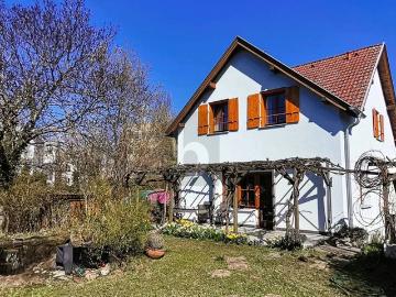 Haus zum Verkauf in 2460 - Keller, Terrasse