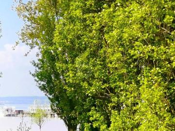 Luxus Haus mit 5 Zimmer zu verkaufen in Podersdorf, Burgenland