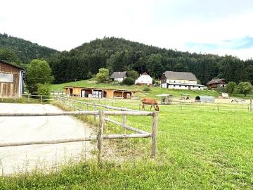 Luxus Haus mit 6 Zimmer zu verkaufen in Völkermarkt, Österreich