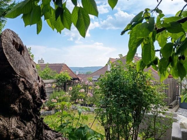 Luxus Haus mit 7 Zimmer zu verkaufen in Krems an der Donau, Österreich