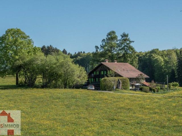 Luxus Haus mit 10 Zimmer zu verkaufen in Les Monts de Corsier, Kanton Waadt