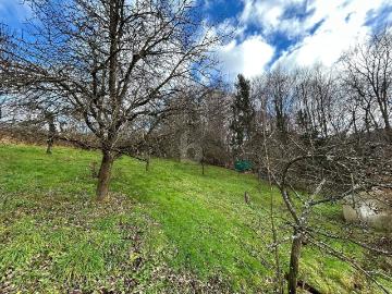 Zaunerweg, Koppl, Koppl, Salzburg-Umgebung, Bundesland Salzburg