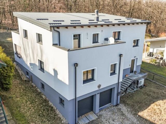Luxus Haus mit 220 m2 zu verkaufen Frankenau, Burgenland