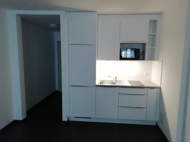 Luxus Loft Studio in Liestal, 10 Min von Basel