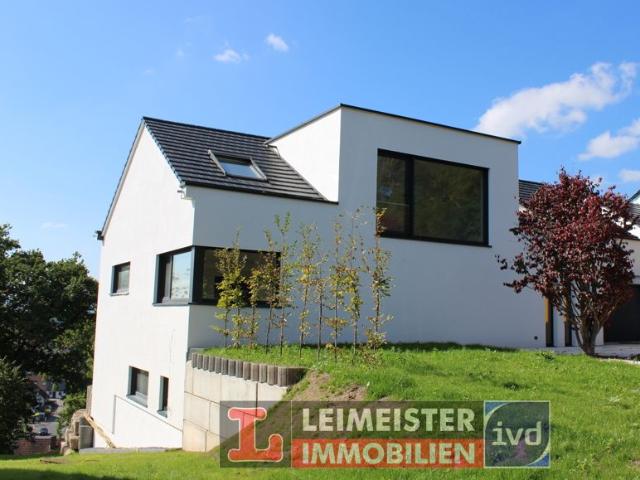 LUXUS PUR mit POOL NEUBAU BEZUGSFERTIG! Architektenvilla in Premiumlage von Aschaffenburg Obernau