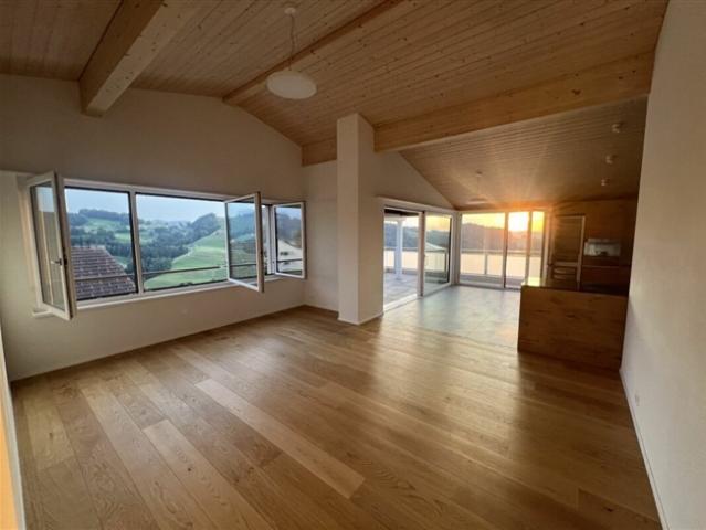 Luxusdachwohnung mit traumhafter Aussicht
