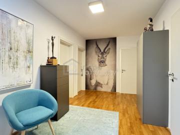 Steindorf, Seewalchen Am Attersee, Seewalchen am Attersee, Bezirk Vöcklabruck, Oberösterreich