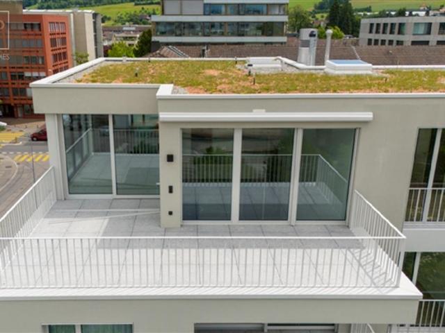 Luxuriöse 2 geschossige Attikawohnung mitten in Zug
