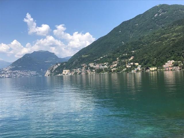 Luxuriöse 7 Zimmern Villa zu verkaufen in Collina d'Oro, Schweiz