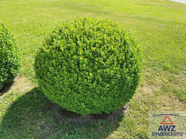Luxuriöse Immobilie mit Garten im Rosental!