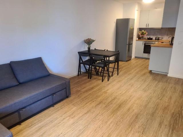 Luxuriöse möblierte 3 Zimmer Neubauwohnung in ruhiger Ecke, Dusseldorf Amsterdam Apartments for Rent