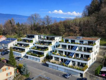 Gampelen, Verwaltungskreis Seeland, Verwaltungsregion Seeland, Kanton Bern