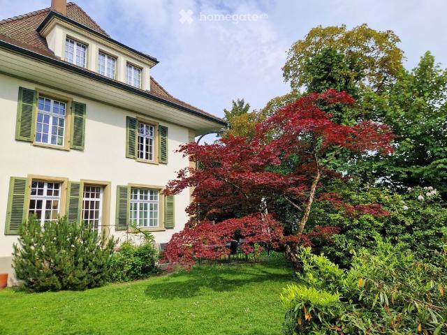 Luxuriöse und ruhige open space Wohnung mit einem grossen Garten